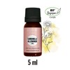HE Camomille allemande 5 ml