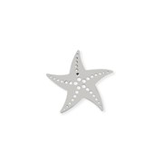Broche étoile de mer argentée en acier
